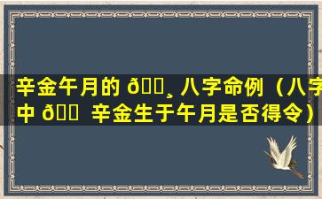 辛金午月的 🕸 八字命例（八字中 🐠 辛金生于午月是否得令）